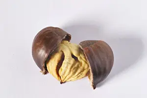 Roasted Chestnuts Prints: Roasted chestnuts