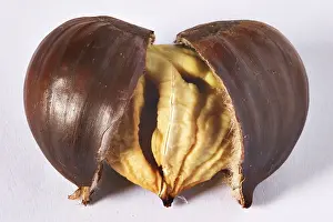 Roasted Chestnuts Prints: Roasted chestnuts