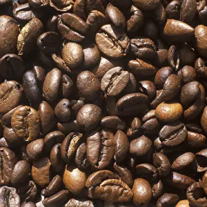 Coffee Roasting Process Prints: Roasted coffee beans