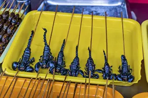 Prints of Roasted, fried and raw insects, silkworms, scorpions, bugs on stick as snack street food in China Related Prints: Roasted, Fried and Raw Insects Print - Chinese Street Food