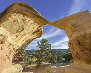 Devil's Garden Utah Prints: Rock formations in Devil's Garden