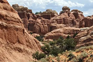 Rock Formations USA Prints: Rock formations at Devil's Garden Trailhead