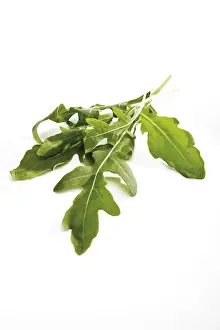 Vitamin Rich Salad Prints: Rocket, arugula