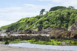 Prints of Rocks and Cliffs on Mothecombe Beach, Mothecombe, River Emme and Red Cove, Plymouth, South Devon, England, United Kingdom Plymouth Prints: Mothecombe Beach Rocks and Cliffs Print, South Devon, England