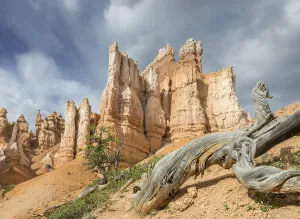 Navajo Loop Trail Prints: Rocks of the Navajo Loop Trail