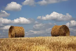 Grainfield Scenery Prints: Role play