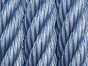 Northern Germany Port Prints: Ropes