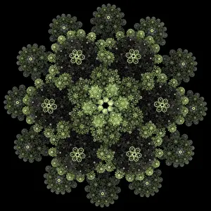 Decorative Rose Blossom Prints: Rose pattern. Mandala pattern. Fractal design