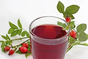 Immune System Boosters Prints: Rosehip tea