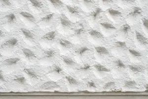 Ornate Building Structure Prints: Roughly patterned plastered wall in detail
