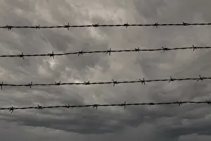Dark And Gloomy Atmosphere Prints: Four rows of barbed wire