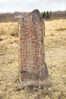 Scandinavian Art Prints: Runestone in a field