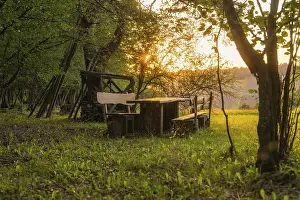 German Countryside Landscape Photography Prints: Rustic bench and table in the forest at sunset