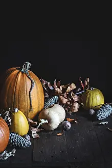 Wooden Surface Decor Prints: A rustic display of assorted pumpkins in warm tones