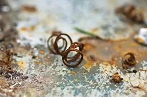 Metal Waste Disposal Prints: Rusty chips of iron