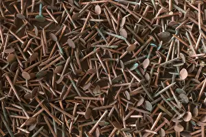 Rusty Metal Prints: Rusty copper nails