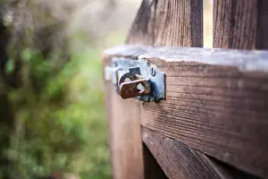 Images Dated 10th December 2024: Rusty Garden Gate Locking Bolt Print