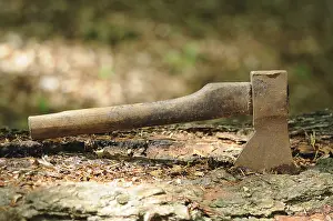 Rusty old axe in the forest