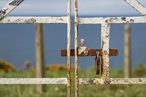 Deserted Entrance Prints: A rusty padlock on a closed gate
