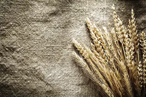 Agricultural Crops Prints: Rye ears on sacking background
