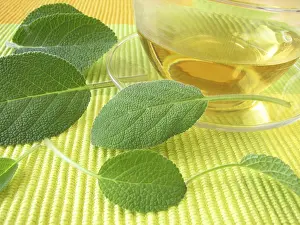 Herbal Tea Prints: Sage tea
