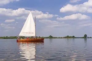 Dummer See Lake Prints: Sailing boat on Dummer See