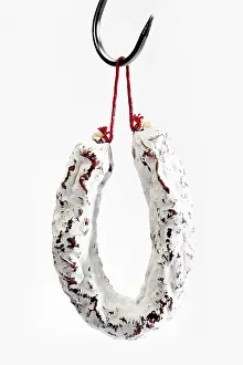 Meat Product Photography Prints: Salami on a hook