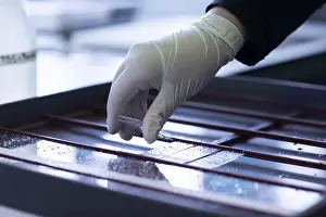 Histology Laboratory Equipment Prints: Sample processing with laboratory equipment in a histology laboratory