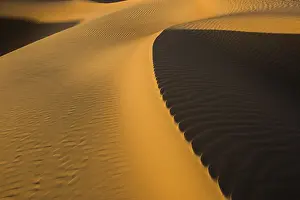 Rub Al Khali Sand Dunes Prints: Sand dune crest, light and shadow