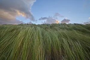 Marram Grass Landscape Prints: Sand dune, dune grass, wind, clouds