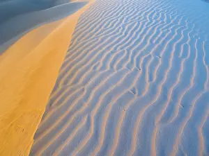 Desert Evening Light Prints: Sand dunes, evening light, patterns