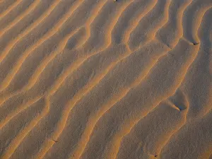 Atmospheric Desert Scene Prints: Sand dunes, evening light, patterns