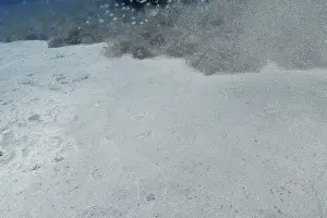 Atlantic Ocean Wildlife Prints: Sand and particles float in the water