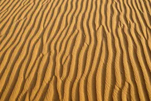 North African Landscape Prints: Sand ripples, surface of a dune