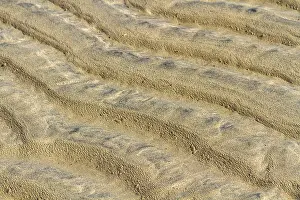 Deserted Spanish Landscapes Prints: Sand structures, Background, Texture