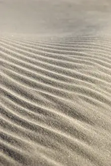 North Sea Coast Prints: Sand structures, created by waves and wind