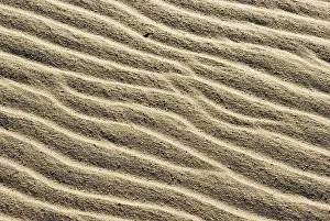 North Sea Coastline Prints: Sand structures, created by waves and wind