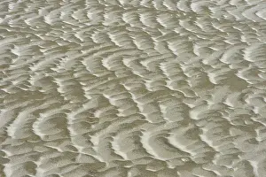 Wadden Sea Shoreline Prints: Sand surface formed by wind and tidal current in the mud flats