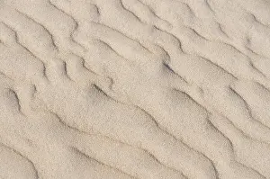 Close Up Sand Texture Prints: Sand with wavy patterns, Norderney