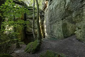 Prints of Sandstone cliffs, Mullerthal Trail, Berdorf, Luxembourg Related Prints: Mullerthal Trail Sandstone Cliffs Print, Luxembourg