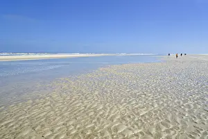 North German Shoreline Prints: Sandy beach beach at low tide with wave-like pattern