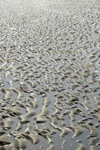 Deserted Sandy Beach Europe Prints: Sandy beach beach at low tide with wave-like pattern