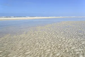 Blue Sky Horizon View Prints: Sandy beach beach at low tide with wave-like pattern