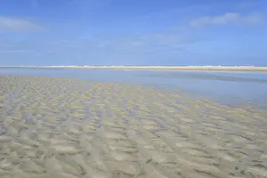 Blue Sky Horizon View Prints: Sandy beach beach at low tide with wave-like pattern