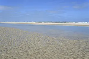 Blue Sky Horizon View Prints: Sandy beach beach at low tide with wave-like pattern