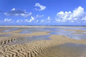 Sandy Beach At Low Tide Prints: Sandy beach at low tide, wavy pattern