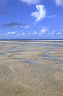 Sandy Beach At Low Tide Prints: Sandy beach at low tide, wavy pattern