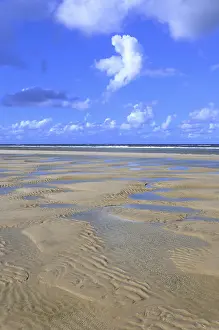 Sandy Beach At Low Tide Prints: Sandy beach at low tide, wavy pattern