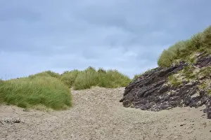 Deserted Scottish Coastline Prints: Sandy path between grassy dunes under cloudy sky