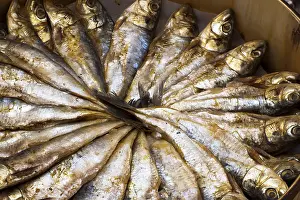 Prints of Sardines Pilchard Prints: Sardines Print from imageBROKER
